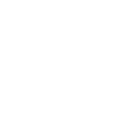 Grupo V3